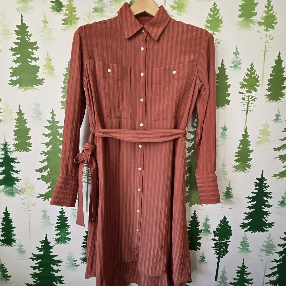 Everlane Rust Shirt High Low Dress